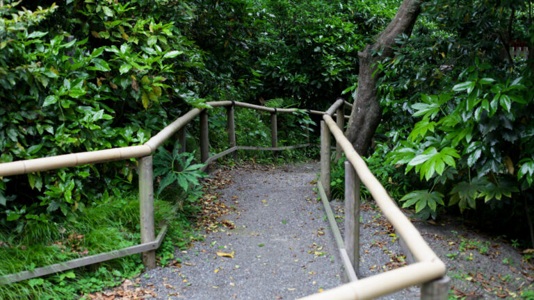 【コラム】KPT法を使った稽古の復習方法