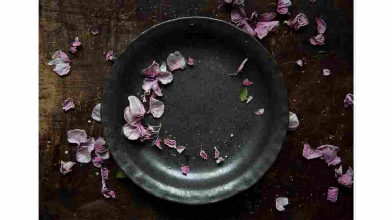 【コラム】不易流行と稽古の進化